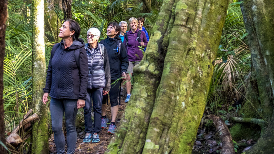 How Natural Healing Resources Support Sustainable Health Tourism harnessing forest and mountain therapies